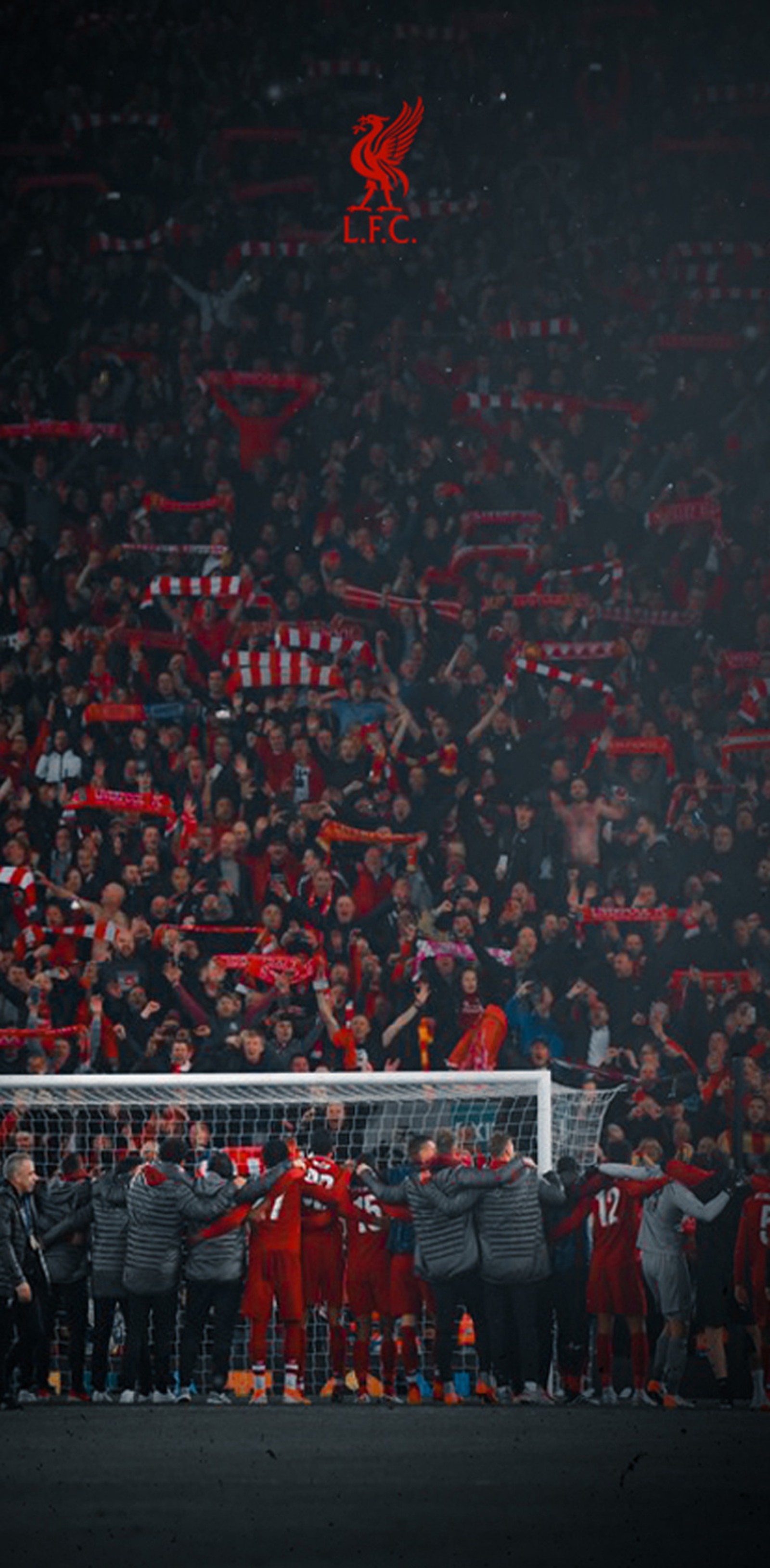 Lade anfield, champions, liga, lfc, liverpool Hintergrund herunter