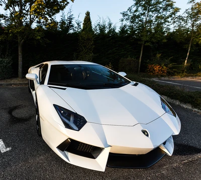 auto, lambo