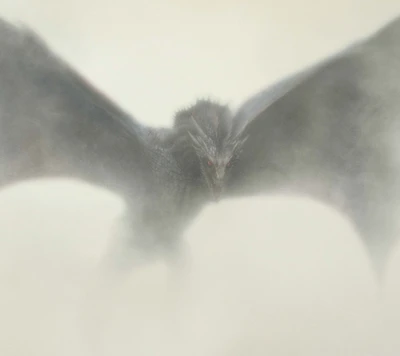 dragon, drogon, game of thrones, tarrgaryen