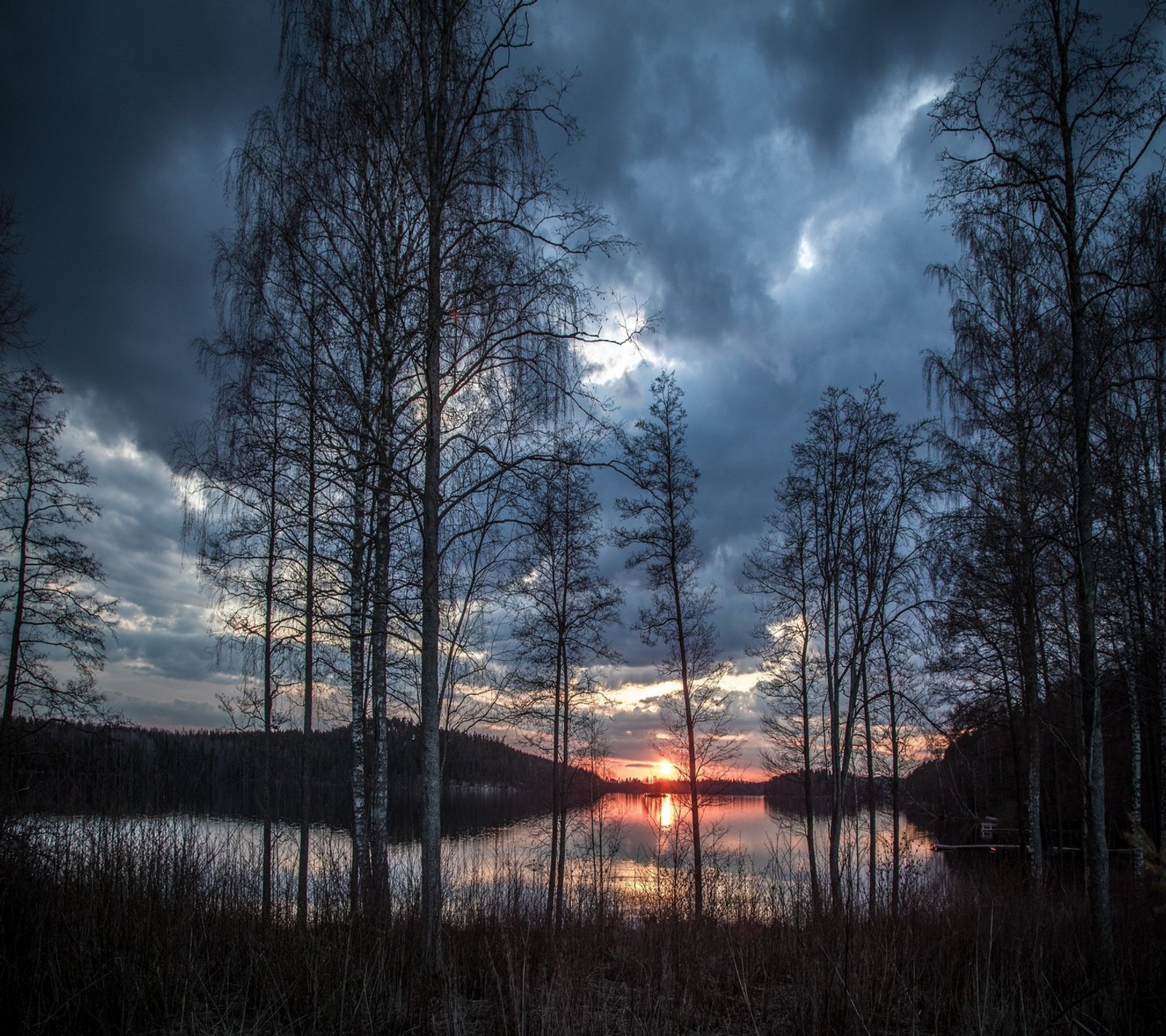 Descargar fondo de pantalla naturaleza, cielo, árboles