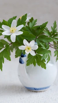 Flores blancas delicadas y hojas verdes exuberantes en un jarrón encantador.