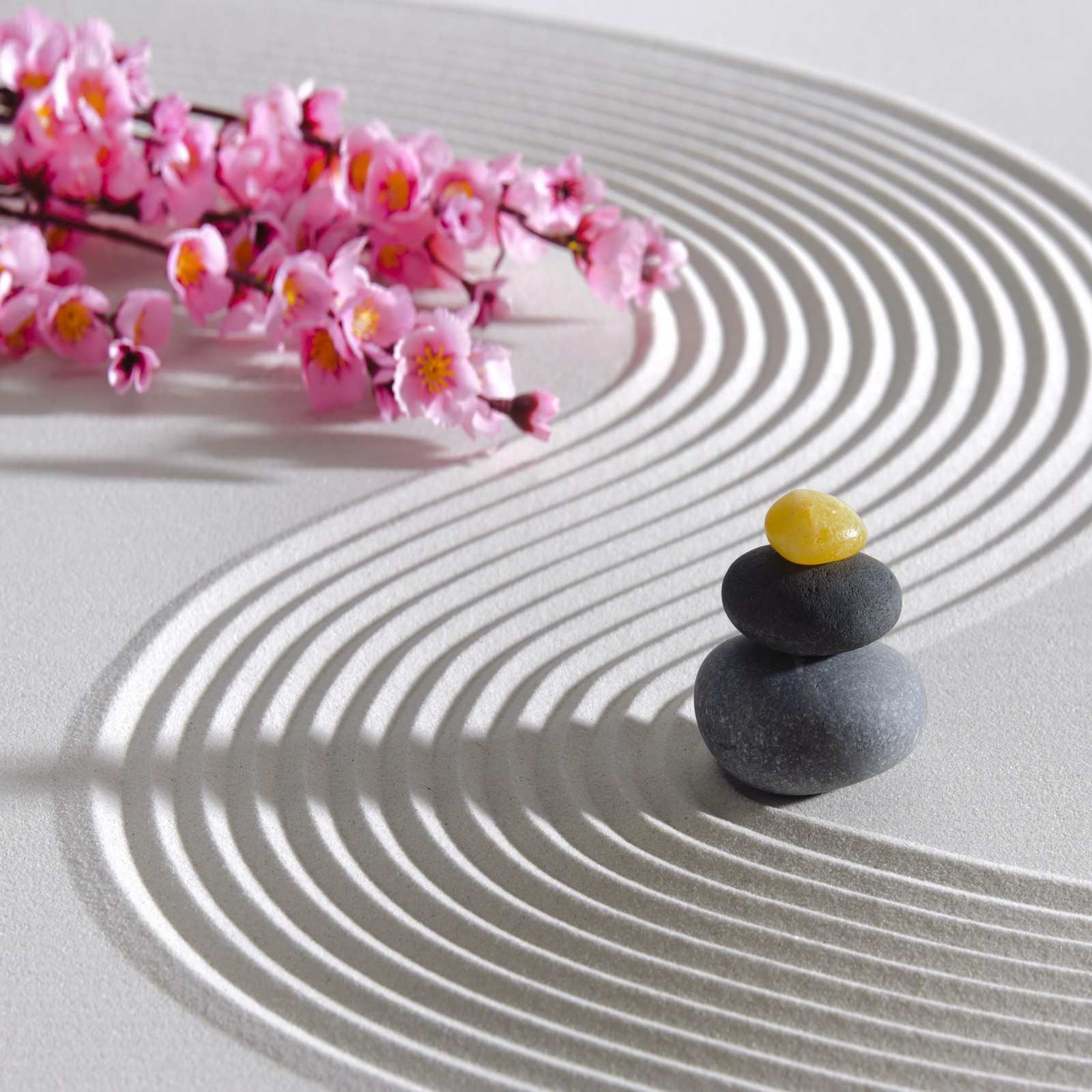 flowers, garden, sand, stones, zen Download Wallpaper