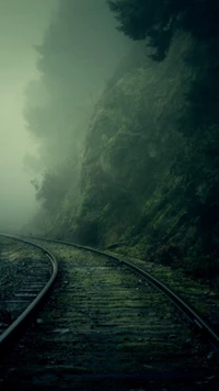 Misty Railroad Curve Through a Foggy Forest