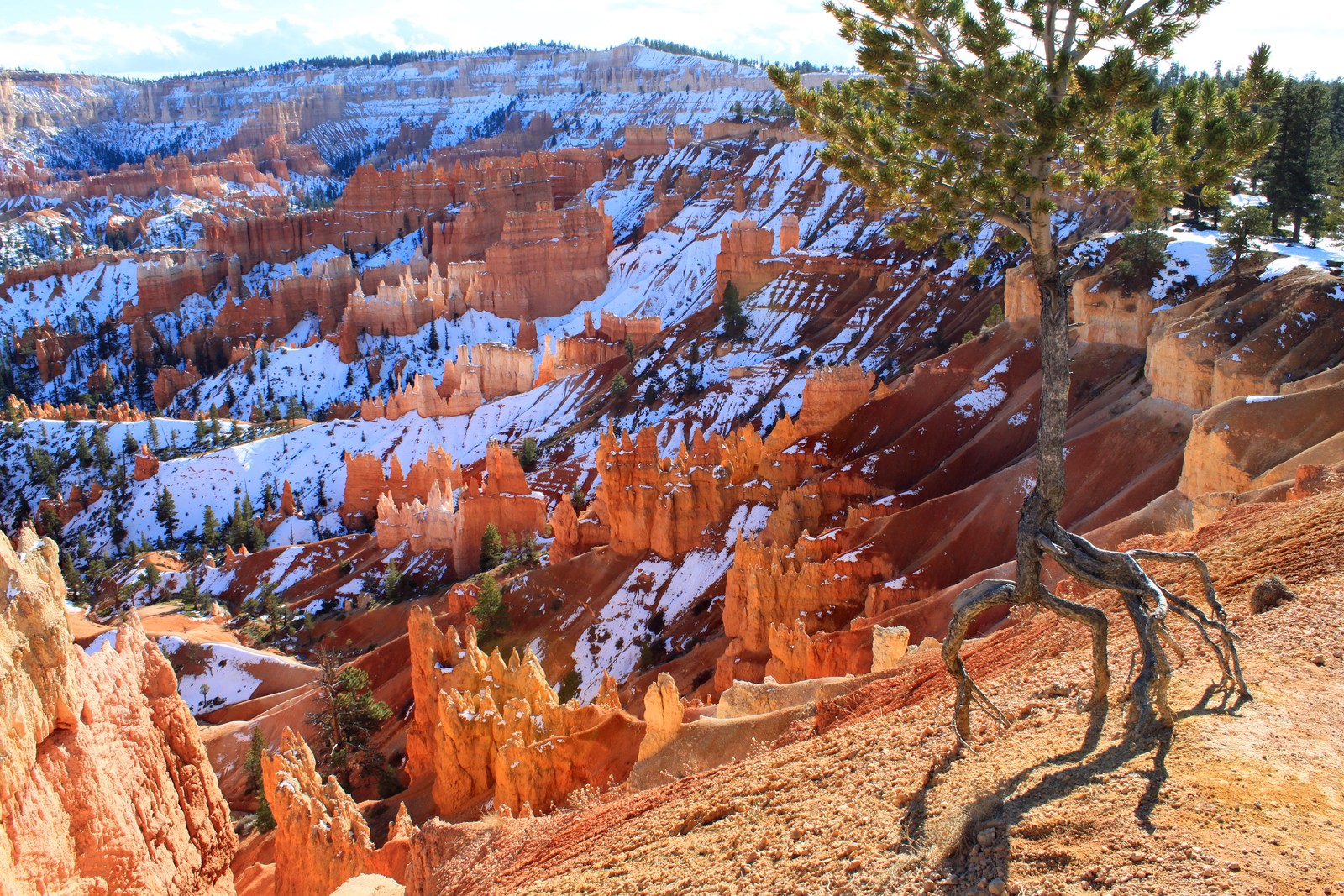 Vista panorámica de un acantilado con vista a un cañón con nieve en el suelo (parque nacional bryce canyon, parque nacional, cañón, parque, bryce)