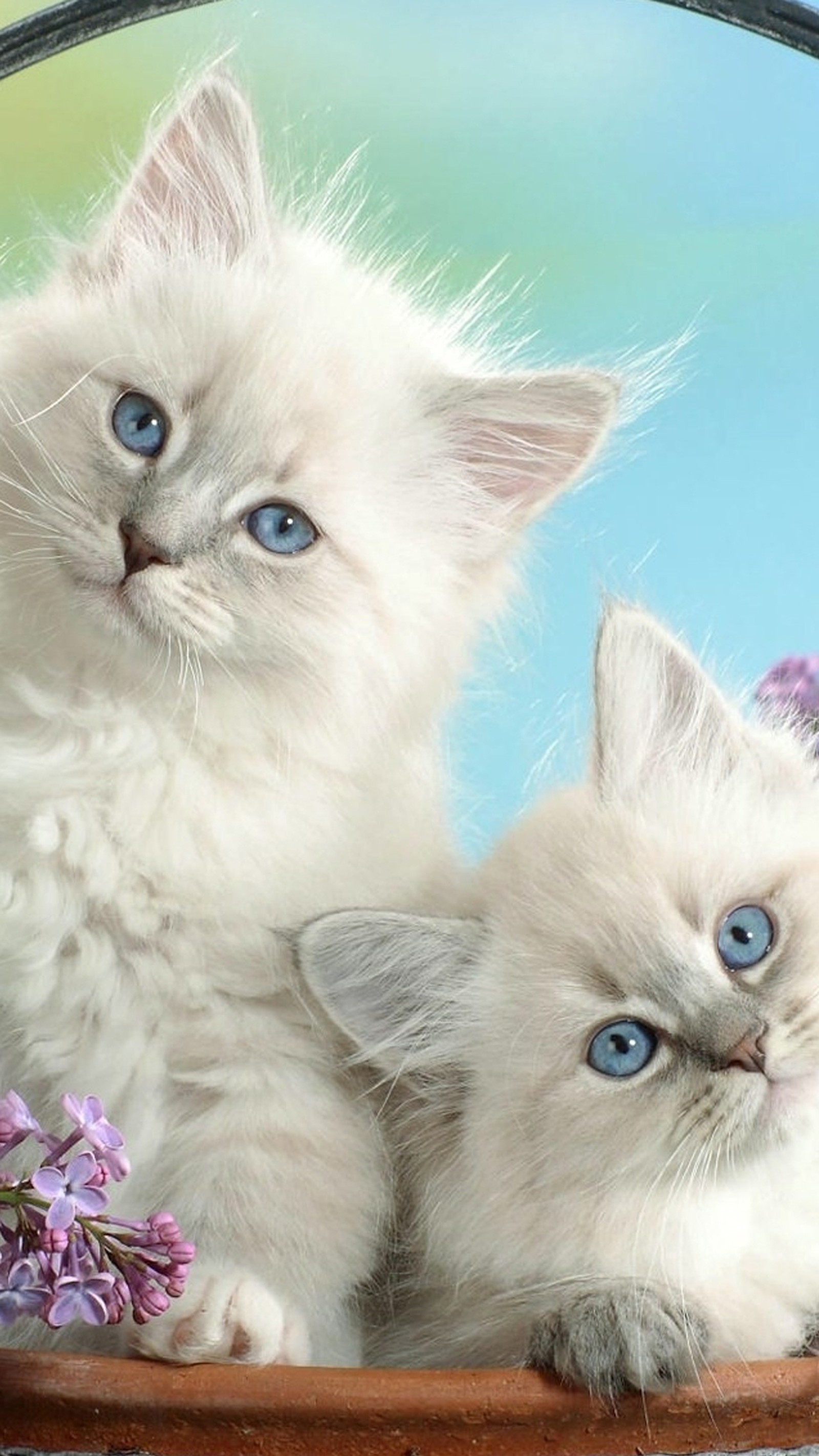 There are two kittens sitting in a basket with flowers (persian cat, painting, art, nose, cat)