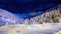 Serene Winter Landscape Under a Starry Night Sky