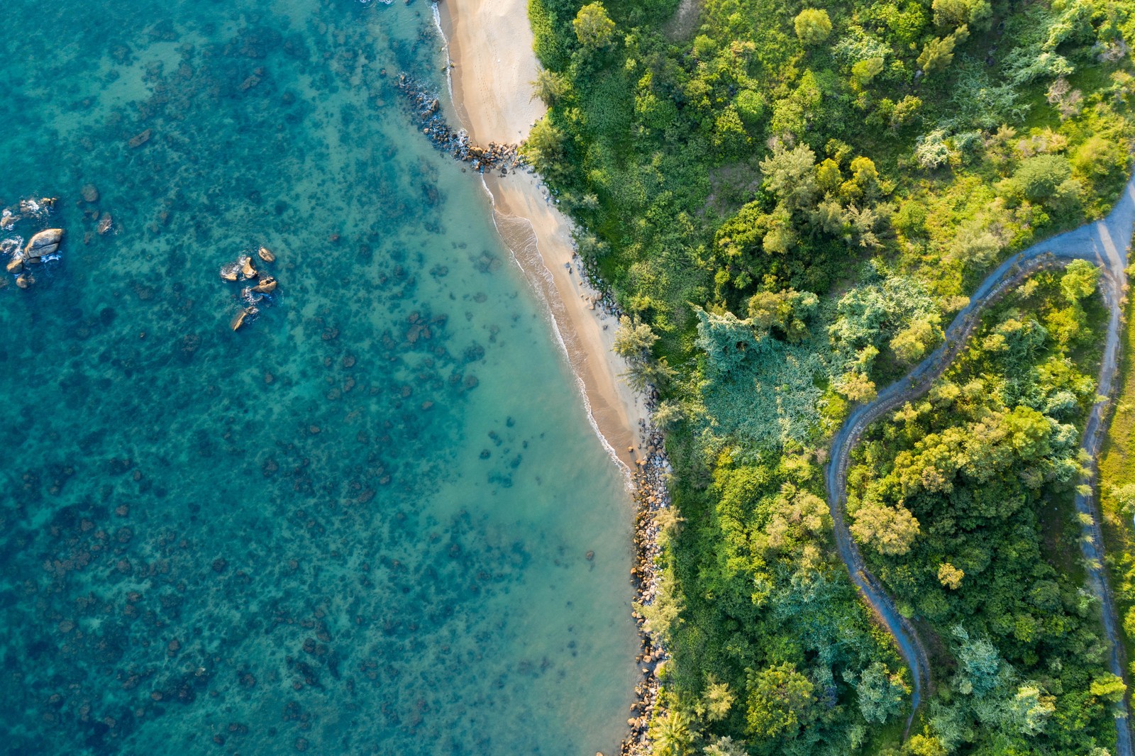 Vista aérea de uma praia e um rio no meio do oceano (windows 10, água, azul celeste, planta, paisagem natural)