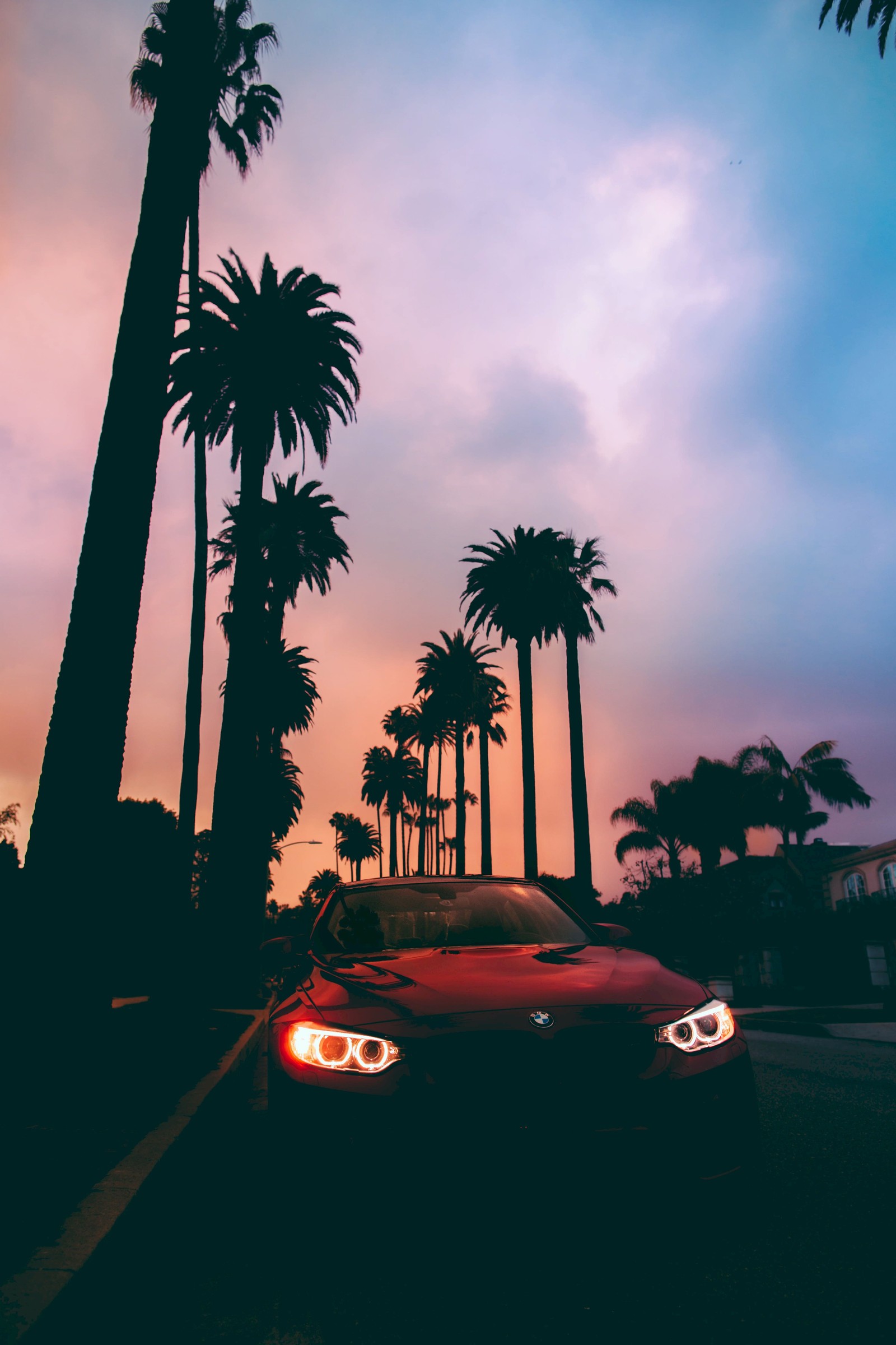 sky, palm tree, arecales, woody plant, bmw i8 Download Wallpaper