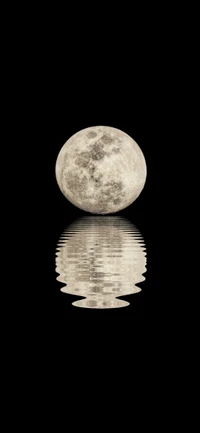 moon, moonlight, full moon, reflection, water