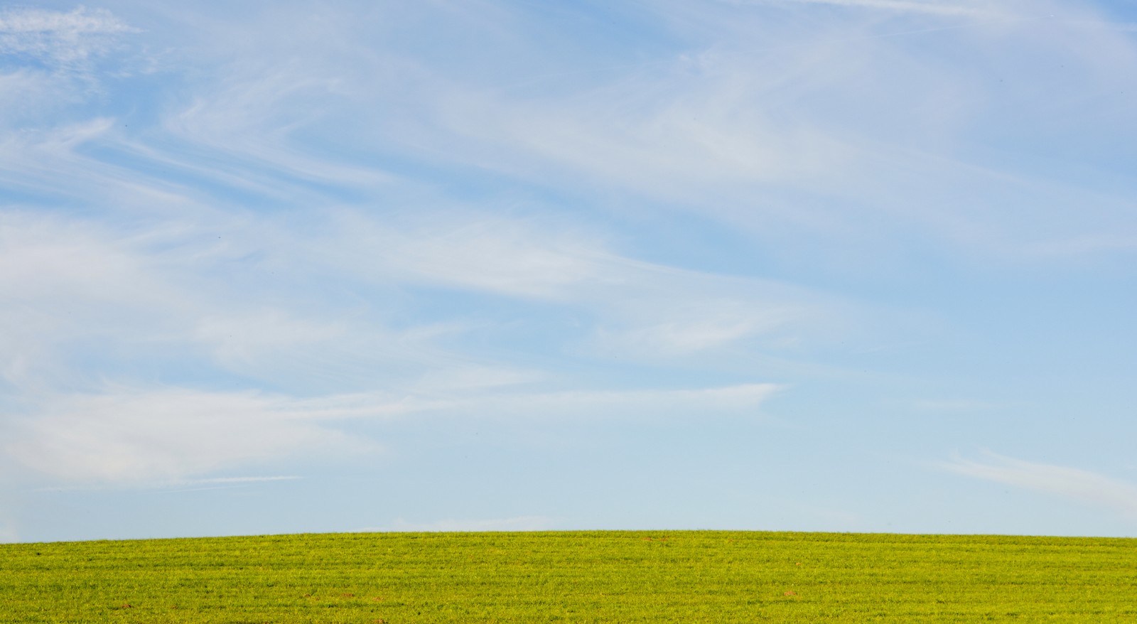 plain, crop, cumulus, sky, blue Download Wallpaper