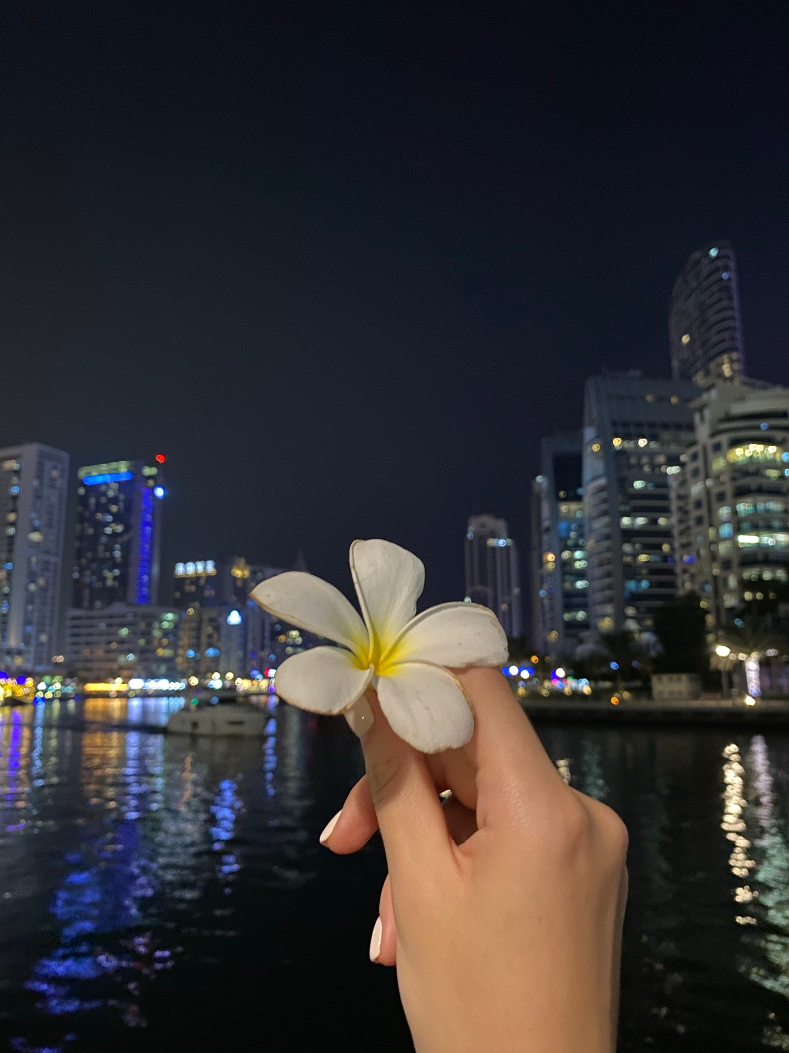 Quelqu'un tient une fleur dans sa main près d'un plan d'eau (réflexion, eau, doigt, pétale, fleur)