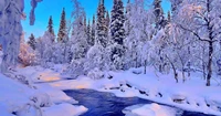 Sérénité hivernale sauvage : un paysage enneigé avec des arbres givrés et un ruisseau tranquille