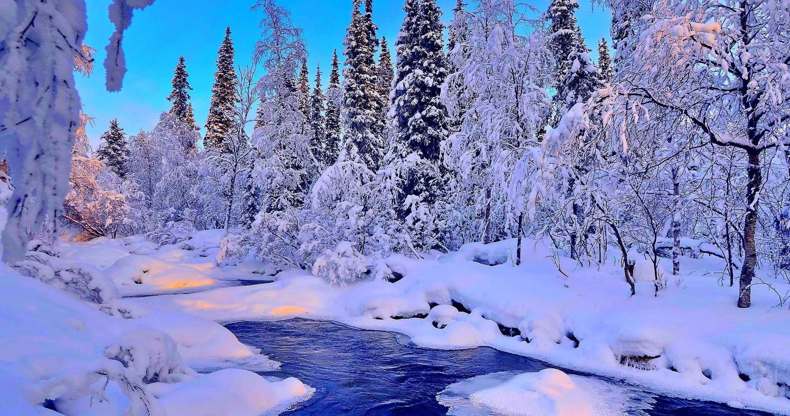 winter, snow, nature, tree, freezing Download Wallpaper