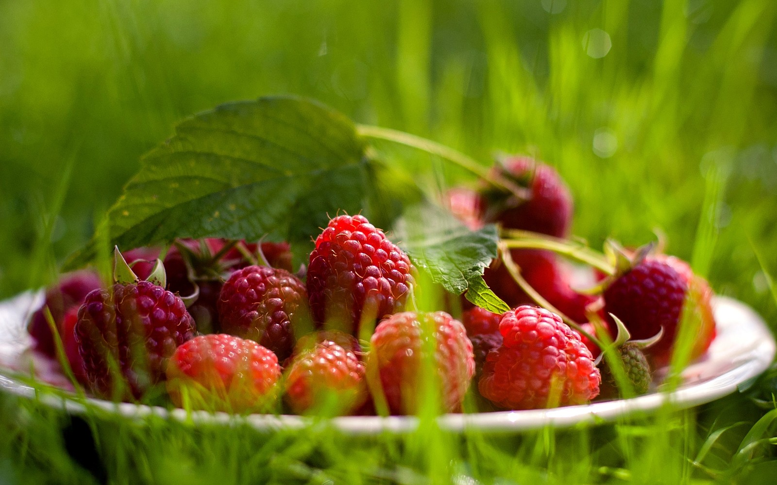 Há muitas frutas vermelhas em um prato na grama (alimentos naturais, morango, fruta, comida)