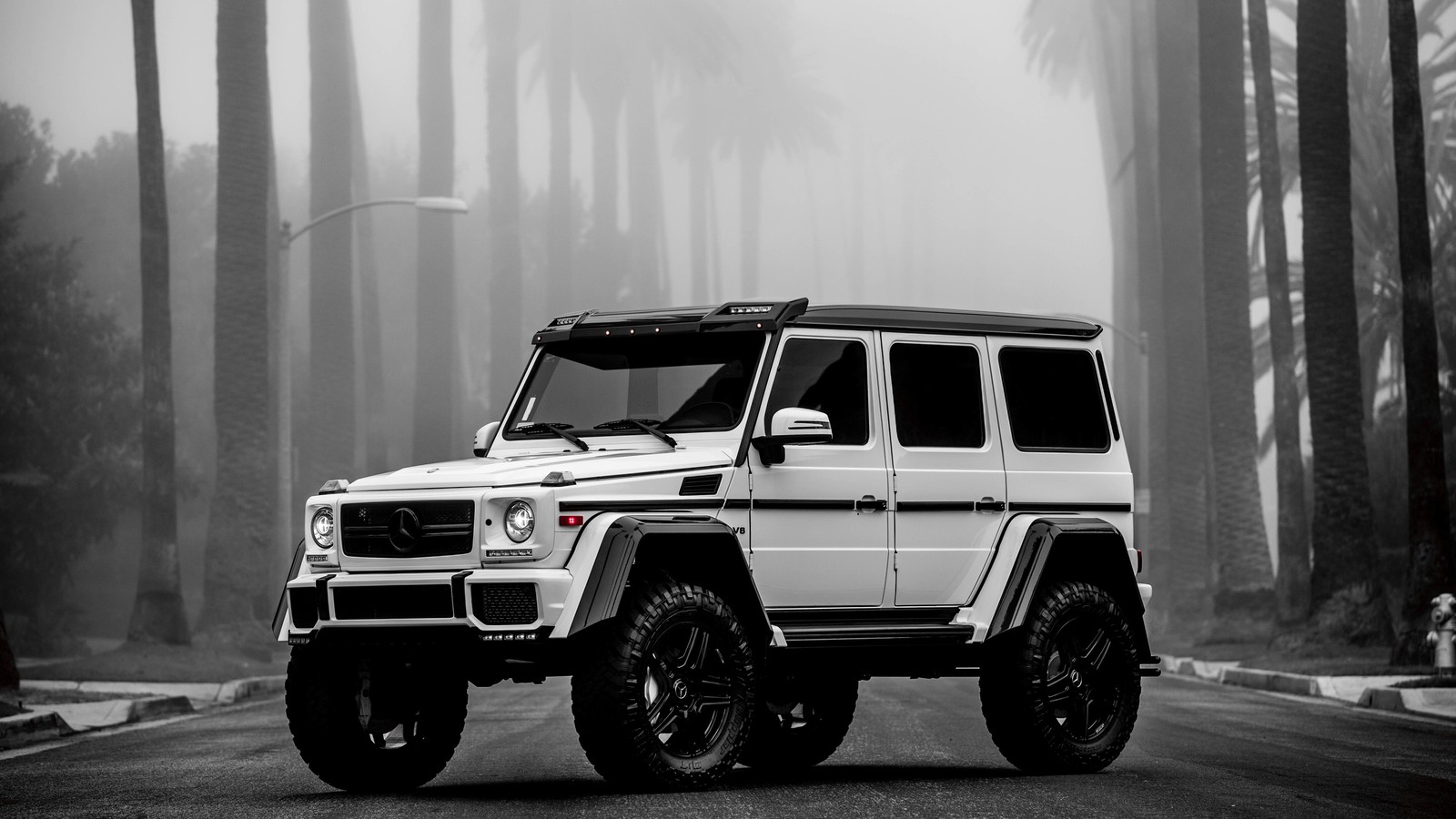 Une image arabesque d'une mercedes g-class blanche garée dans une forêt brumeuse (voiture, pneu, pneu automobile, roue, mercedes benz)