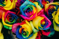 Vibrant Rainbow Roses in a Colorful Bouquet