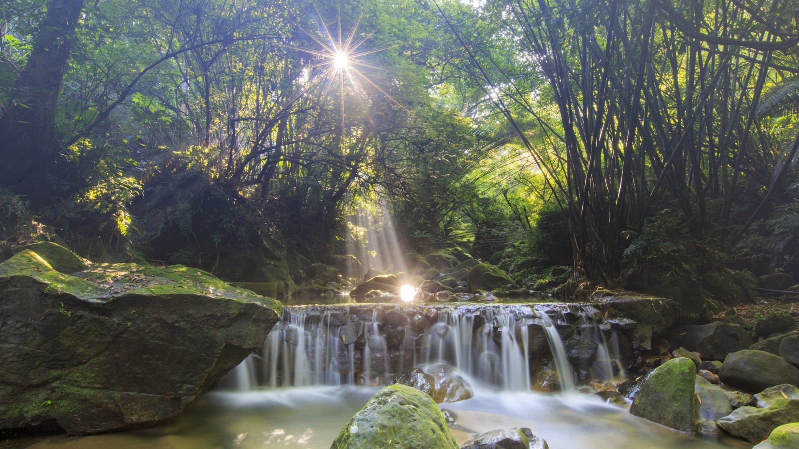 Une petite cascade au milieu d'une forêt avec des pierres et des arbres (la cascade, cours deau, réserve naturelle, végétation, ressources en eau)