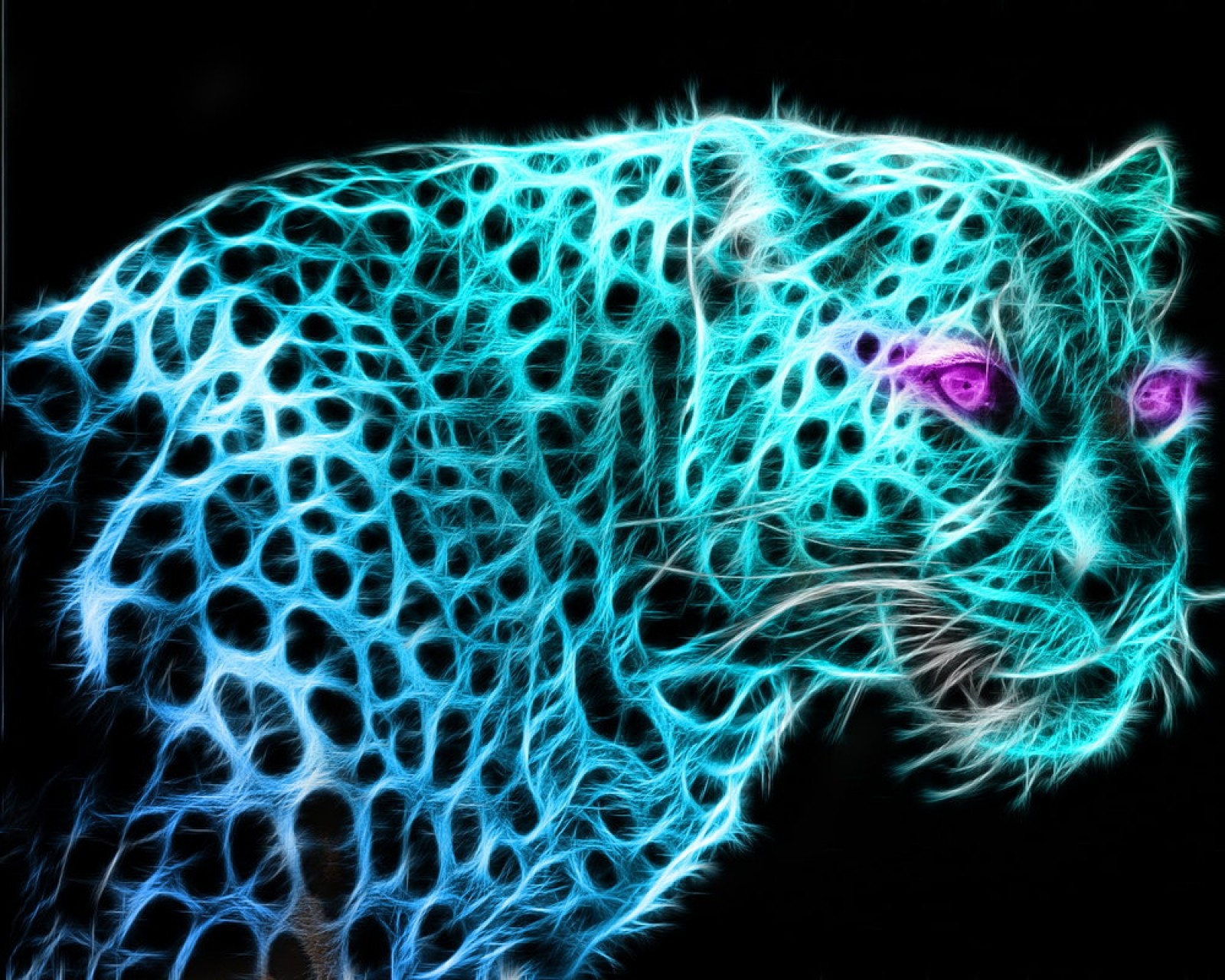 A close up of a leopard with a purple eye on a black background (animals, big cats, leopards)