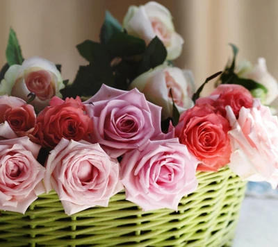 flowers, pink, red