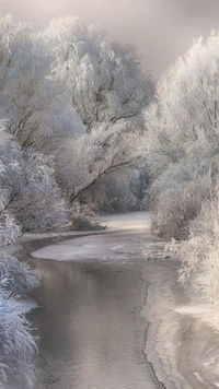 landscape, snowy