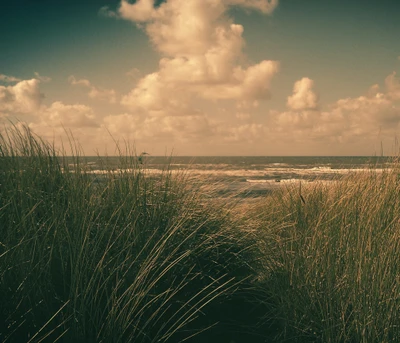 Ruhige Strandlandschaft in Holland mit Dünen und rollenden Wellen