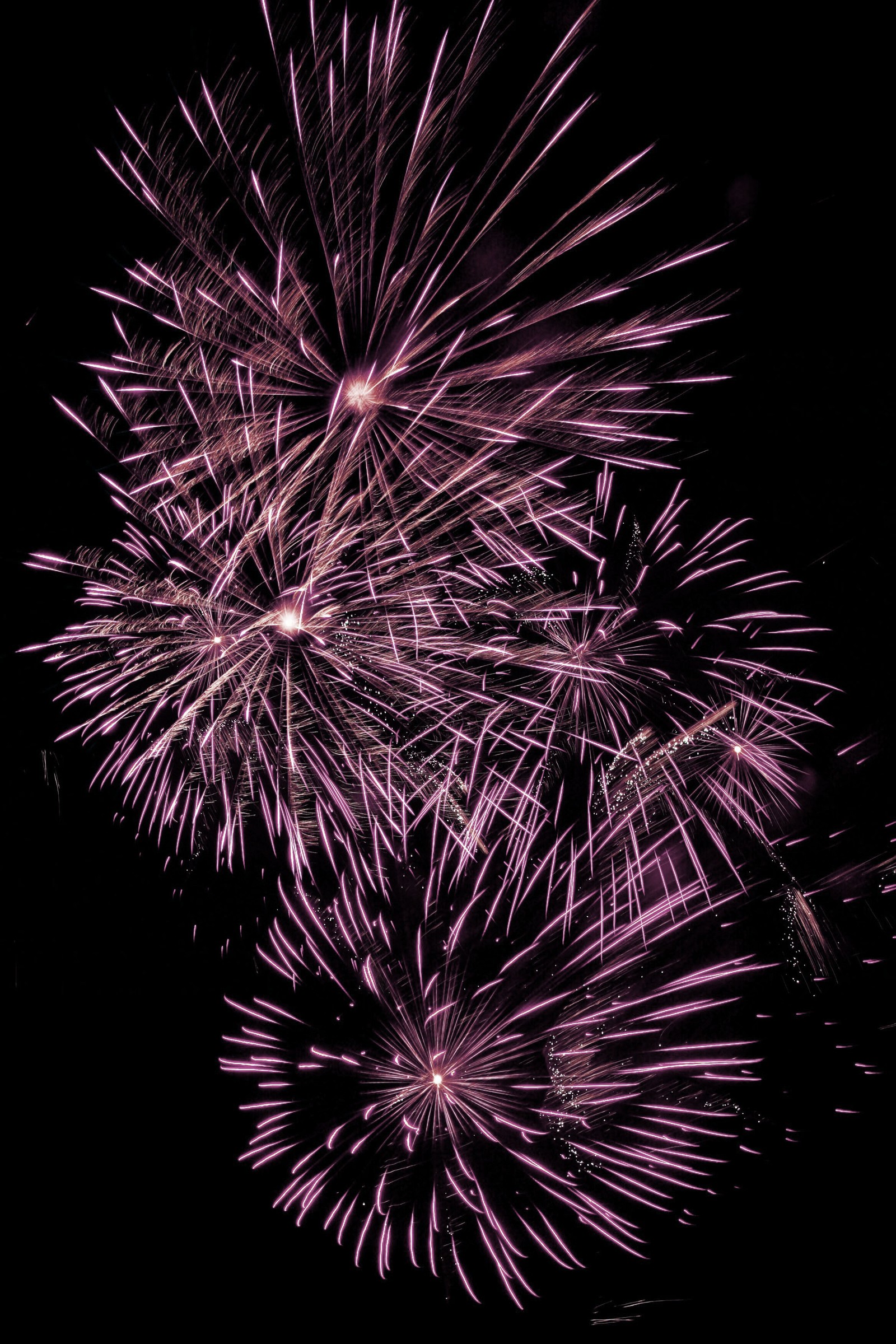 Fireworks are lit up in the dark sky with a black background (sticker, stickers, zedgesticker, zedgestickers)