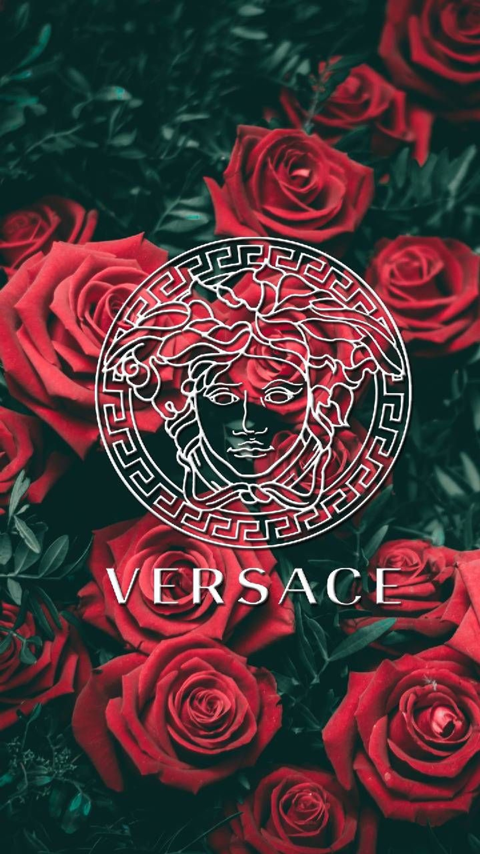 A bunch of red roses with a versa logo on it (brand, logo, versace)