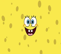 desenhos animados, bob esponja, sponge bob