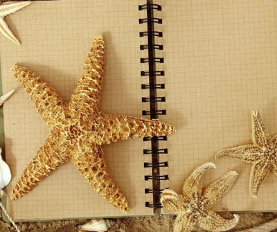 notebook, other, rope, starfish