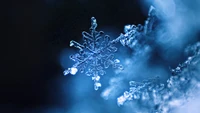 Intricate Snowflake Close-Up in Frosty Detail