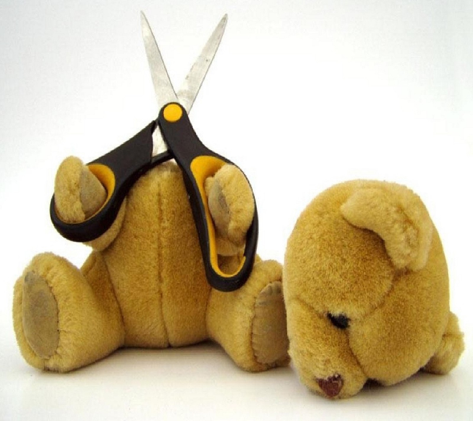 Arafed teddy bear with scissors on its back laying down (suicide)