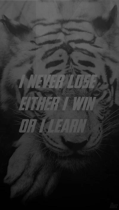 black, millionaire, quotes, sayings, tiger