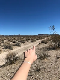 Exploration du désert de Mojave : une main se tend vers le paysage de broussailles