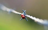 Joaninhas empoleiradas em arame farpado, mostrando o delicado equilíbrio entre a natureza e a intervenção humana.