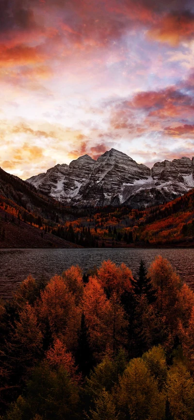 Tierras Altas de Otoño: Árboles de Alerce Bajo un Atardecer Montañoso