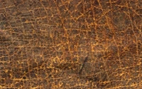 Texture brune riche avec des motifs rustiques et une profondeur subtile