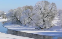 Árboles cubiertos de escarcha junto a un río congelado