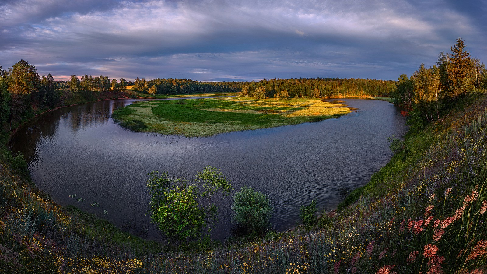 Luftaufnahme eines flusses mit einem grasbewachsenen ufer und einem wald (russland, russia, natur, wasser, reflexion)