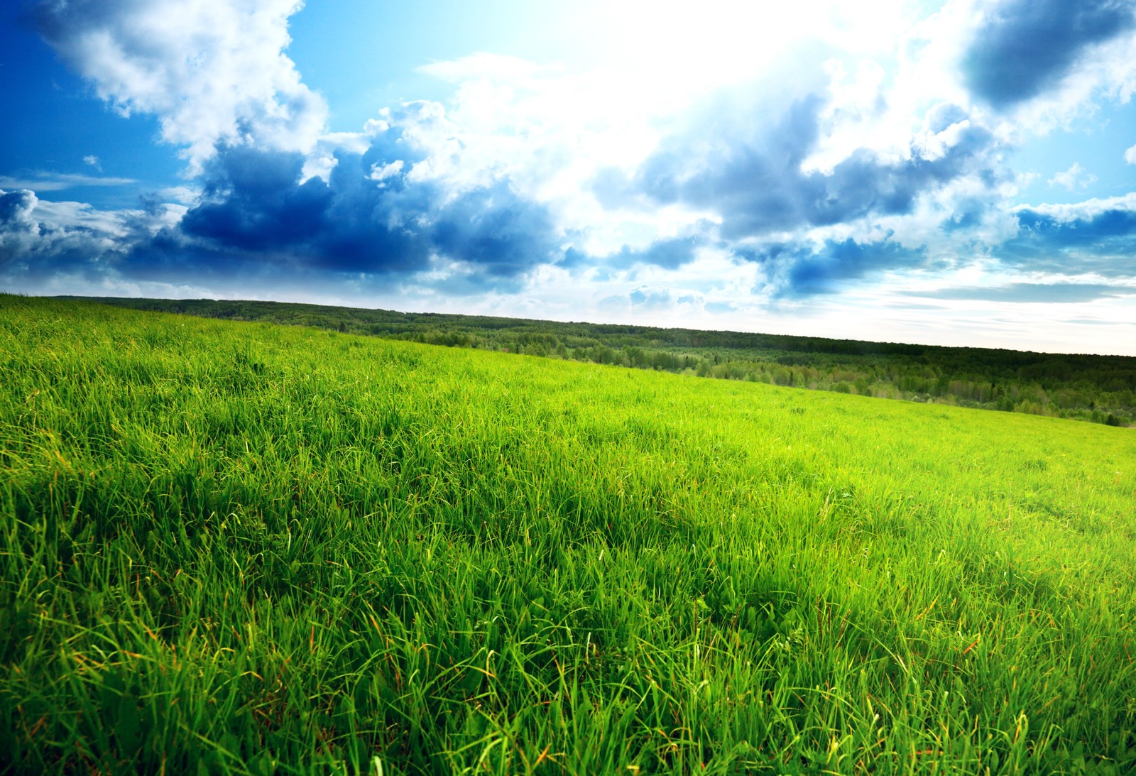 Un campo verde con un sol brillante que brilla a través de las nubes (cielo, naturaleza, pasteo, prado, llanura)