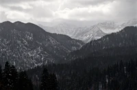 Majestic Black and White Winter Mountain Range with Spruce Forests