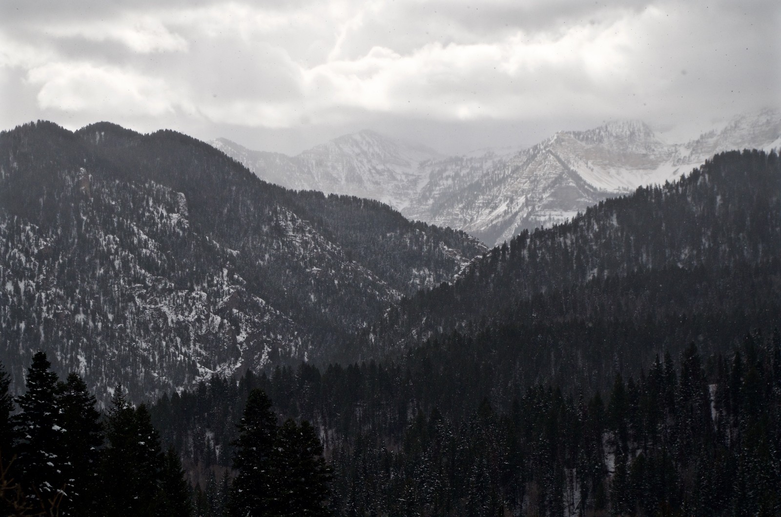 Lade gebirgskette, berg, gebirgige landformen, wildnis, fichtenwälder Hintergrund herunter