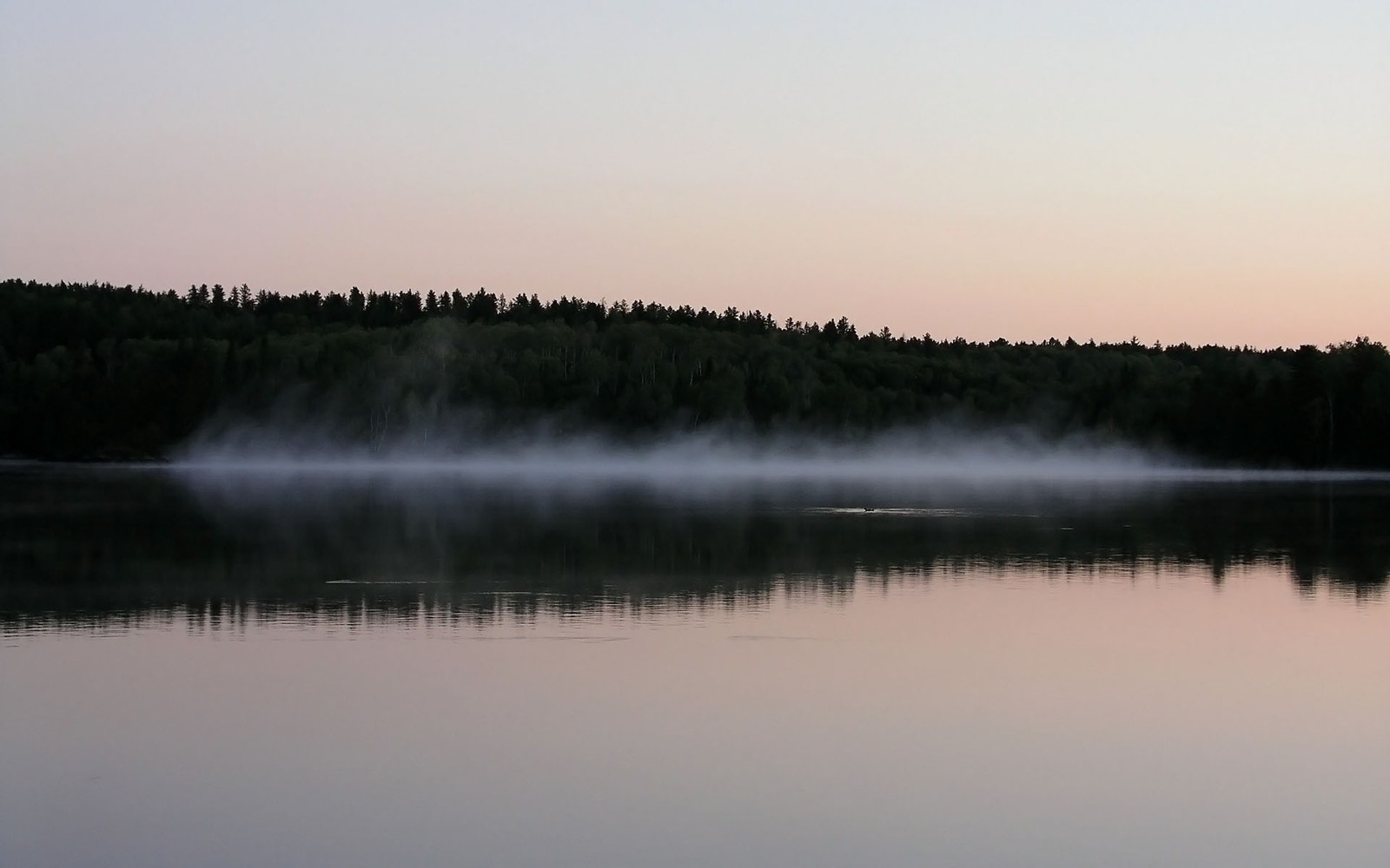 Arafed view of a lake with a fogy surface and trees in the background (reflection, water, nature, mist, morning)