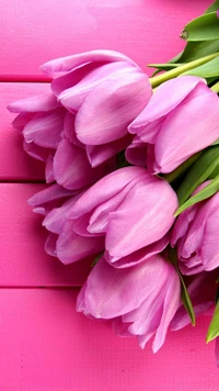 flower, pink wallpaper