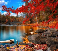 Reflets d'Automne Doré : Un Pont Scénique Sur un Lac Tranquille Entouré de Feuilles Rouges Vibrantes