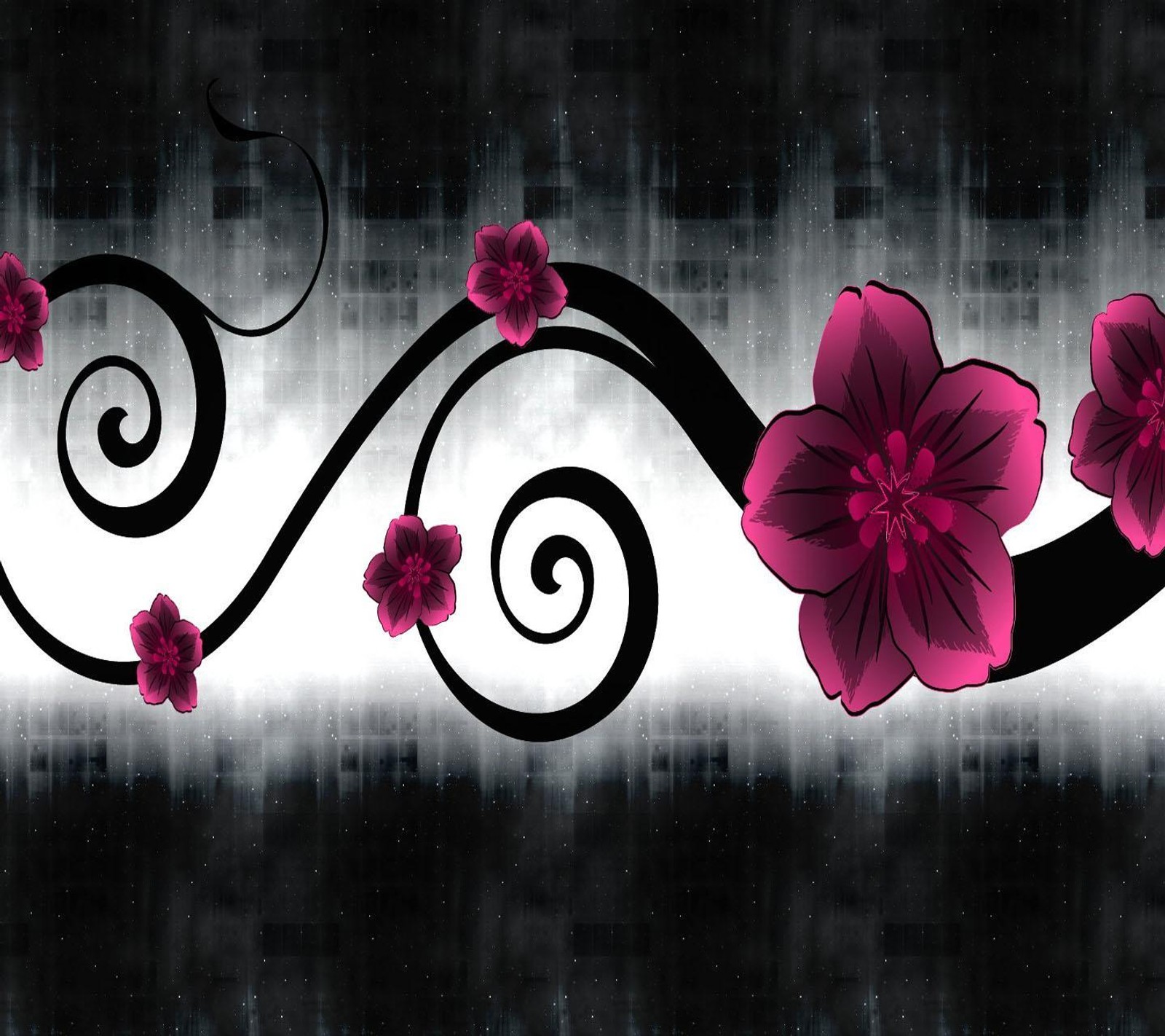 There is a pink flower on a black and white background (abstract, flower)