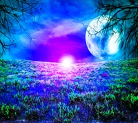 Vibrant Moonlit Landscape with Lush Foliage