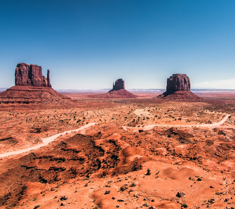 Жирафы в пустыне с грунтовой дорогой на переднем плане (аризона, arizona, пустыня, долина памятников, monument valley)