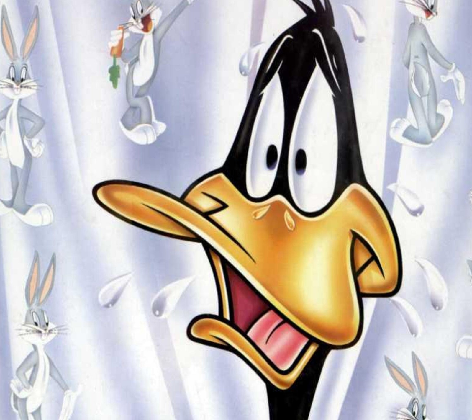 cartoons, daffy duck Download Wallpaper