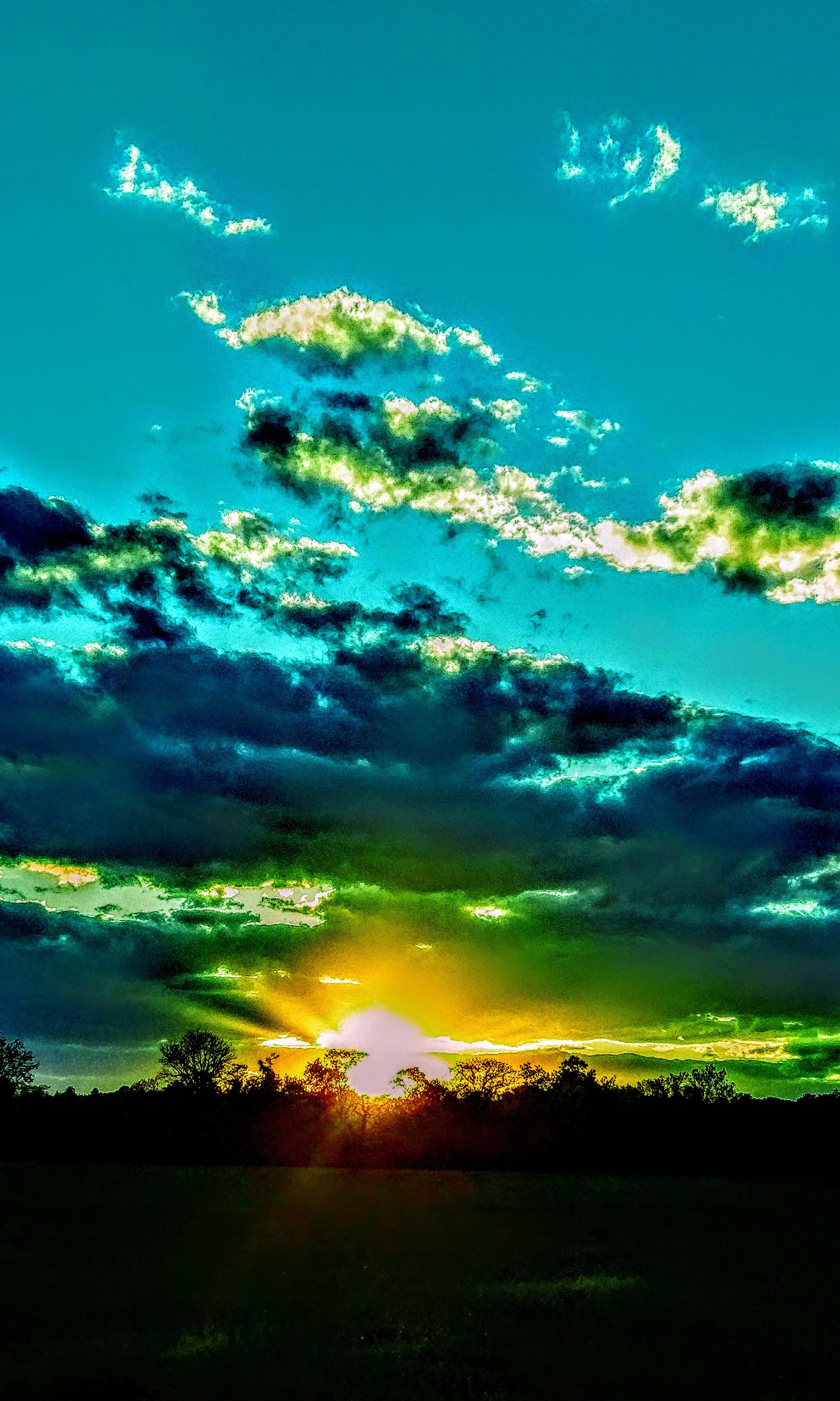 Araffes are silhouetted against the setting sun in a field (clouds, green, green clouds, green sky, sunset)