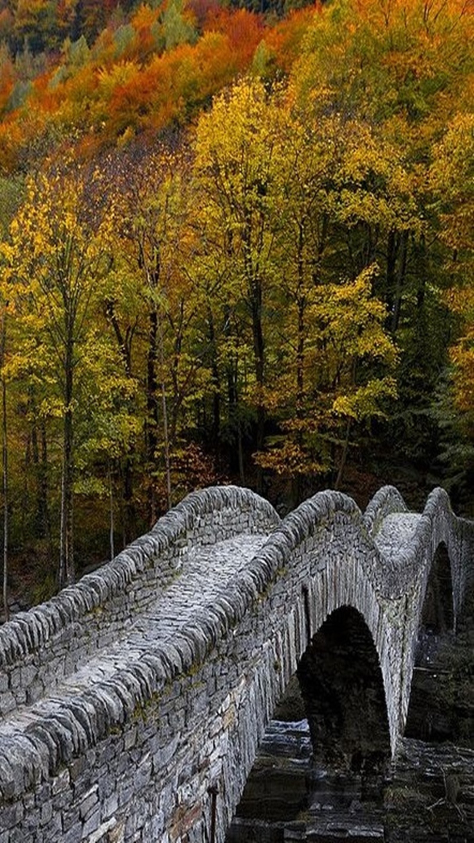 Un pont en pierre arabe sur un ruisseau avec des arbres en arrière-plan (paysage, nature)